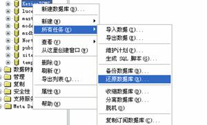 手工还原数据库图文说明（装置要领2） 第 5 张